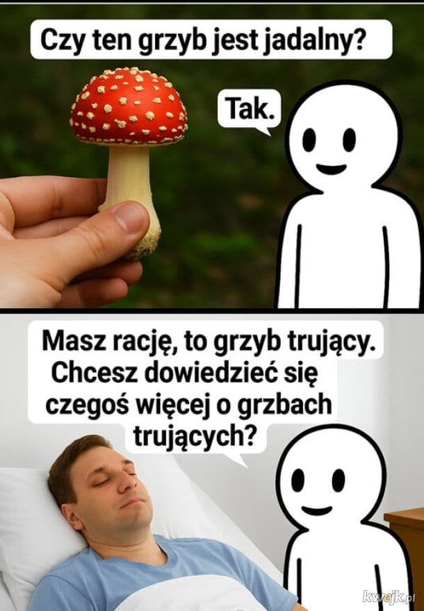 Grzybobranie (Polish Mushroom-Picking Obsession)