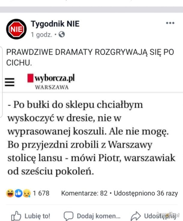 "Wuwka" (W-W) / Warsaw Memes