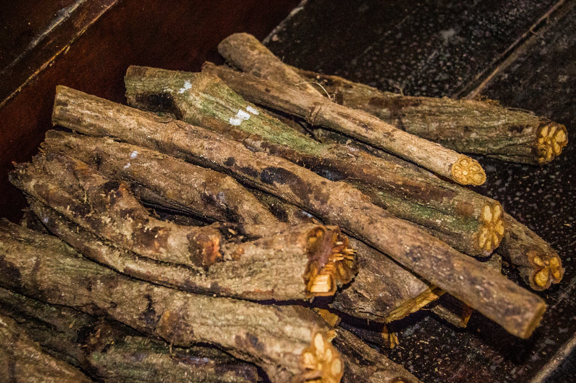 Ayahuasca (the vine) (1900)