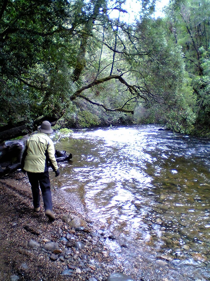 What a free-flowing river is