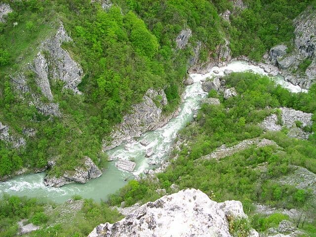 Fish die-off below the Ulog dam