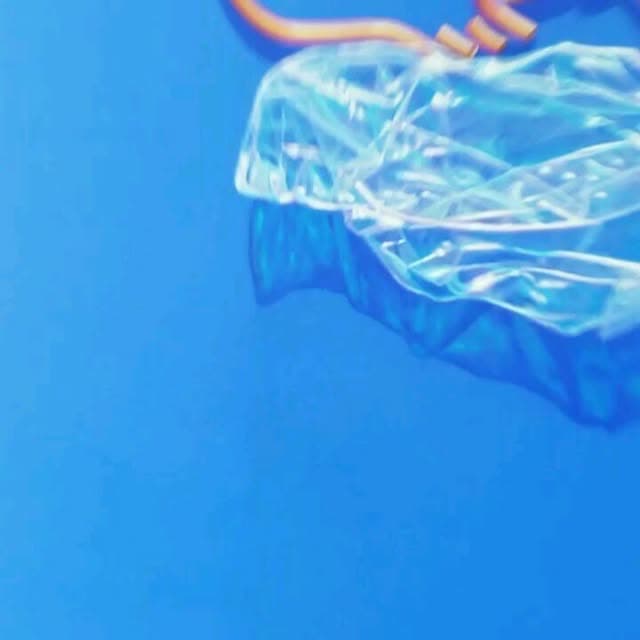 Naufrago De la humanas Obra inspirada en el impacto negativo que esta causando el hombre…