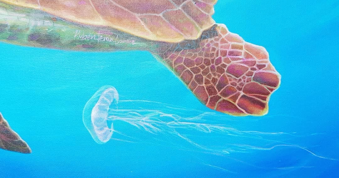 De la serie anatomia de un océano. (4 of 4)