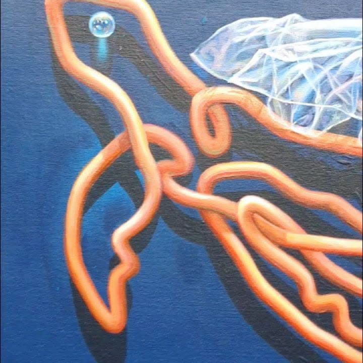 De la serie anatomía de un océano. (3 of 7)