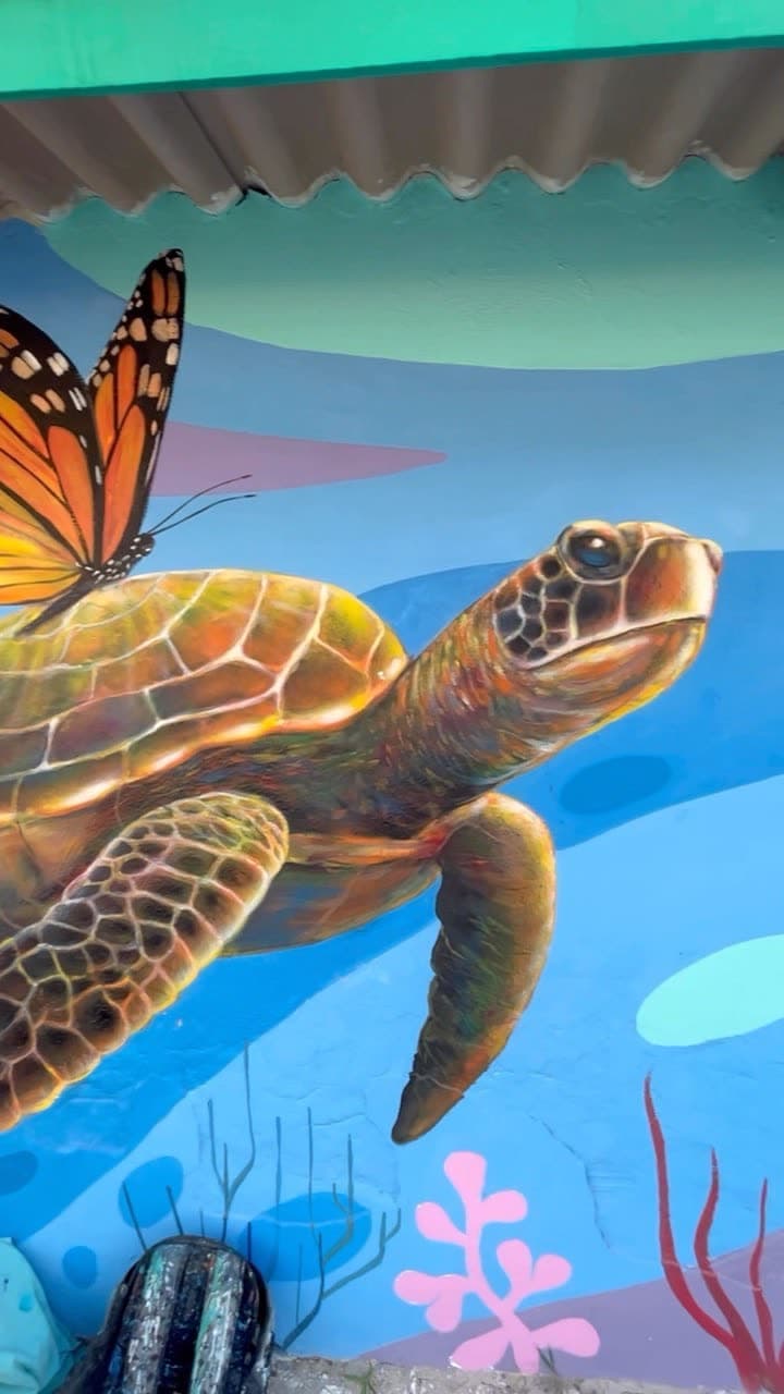 Les comparto este gran mural realizado hace unos días en salgar con @cactussana…