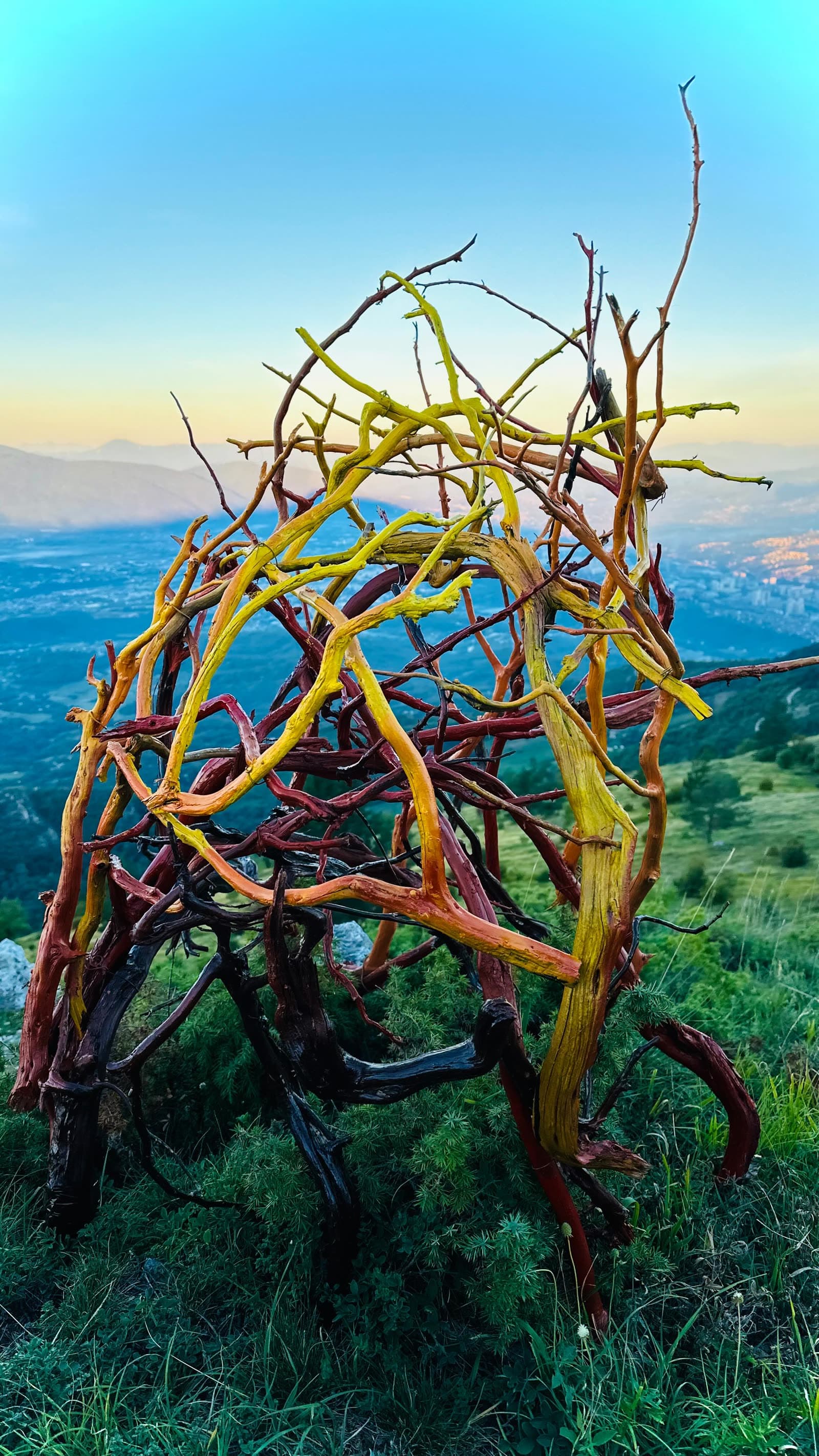 Creating a connection with nature, shaping sculptures from what I find, and expressing…