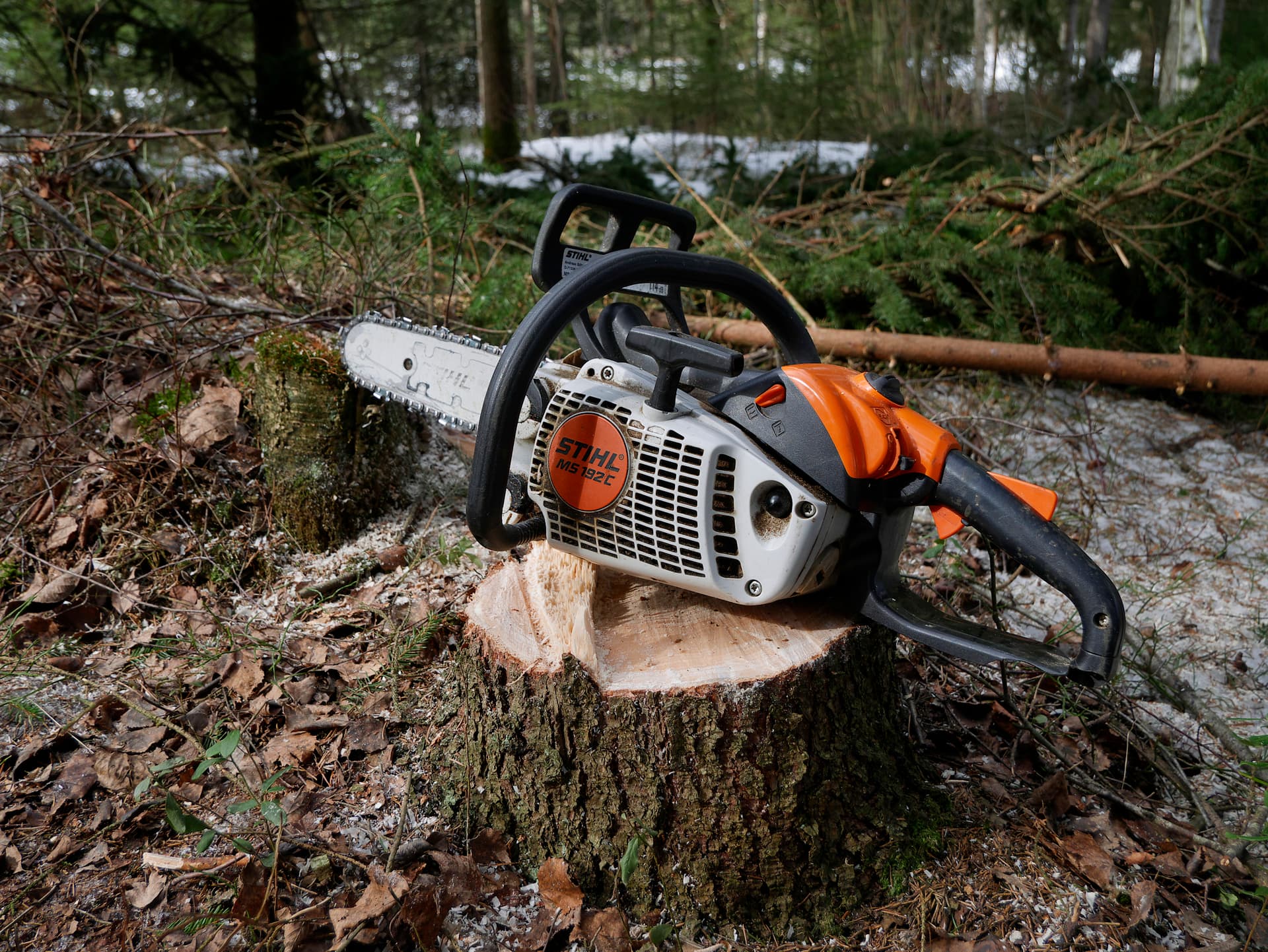 Stihl chainsaw (2019)