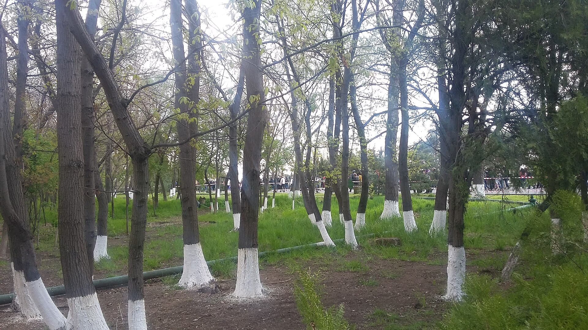The Armenian Genocide Memorial, Yerevan