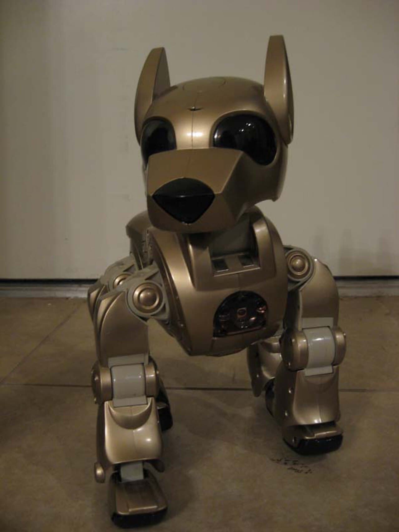 Natalie Jeremijenko — Feral Robotic Dogs — environmental-justice robotics