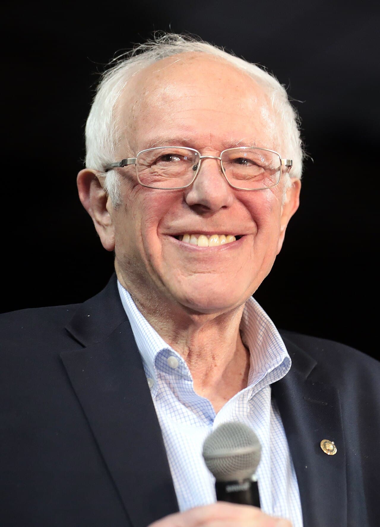 Bernie's Mittens
