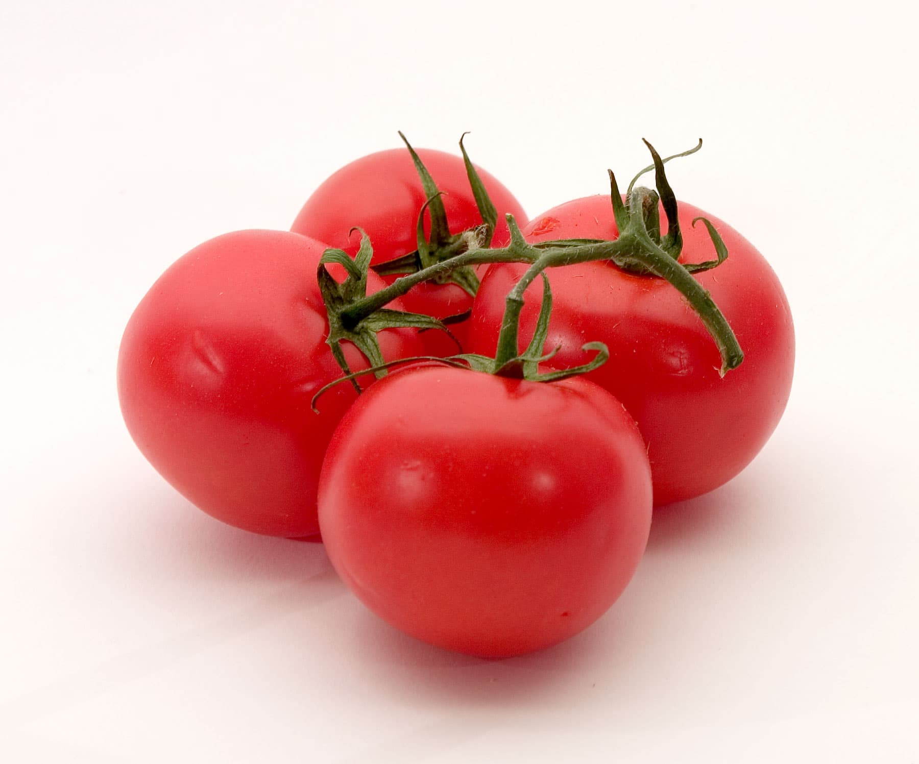 Tomato Girl Summer