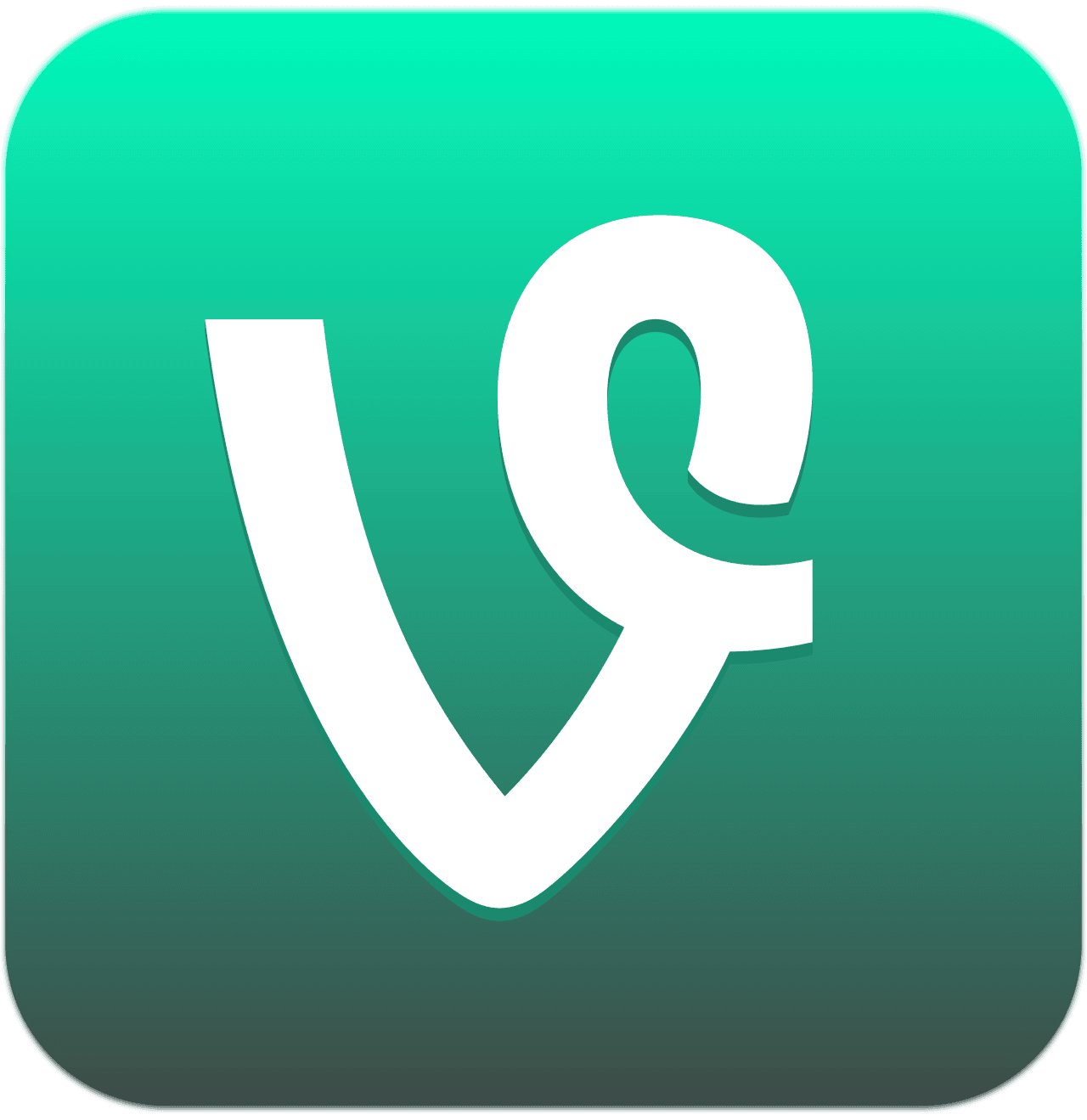 Vine Launches and Defines the Loop