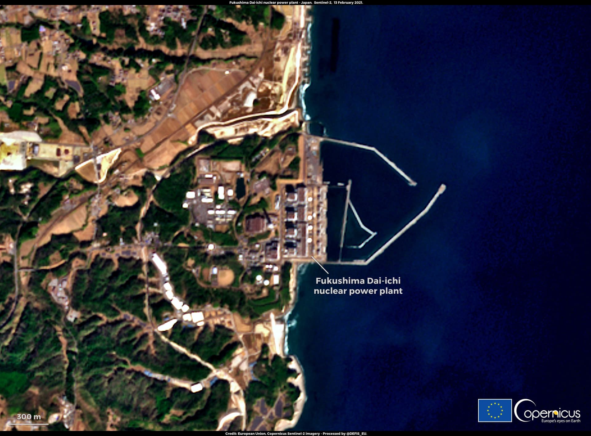 The Fukushima Disaster