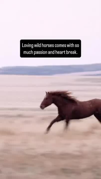 Loving you is red ️