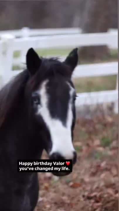It’s VALOR’S BIRTHDAY today! Can you even believe it?! Our sweet, opinionated, sometimes a little too goofy bo