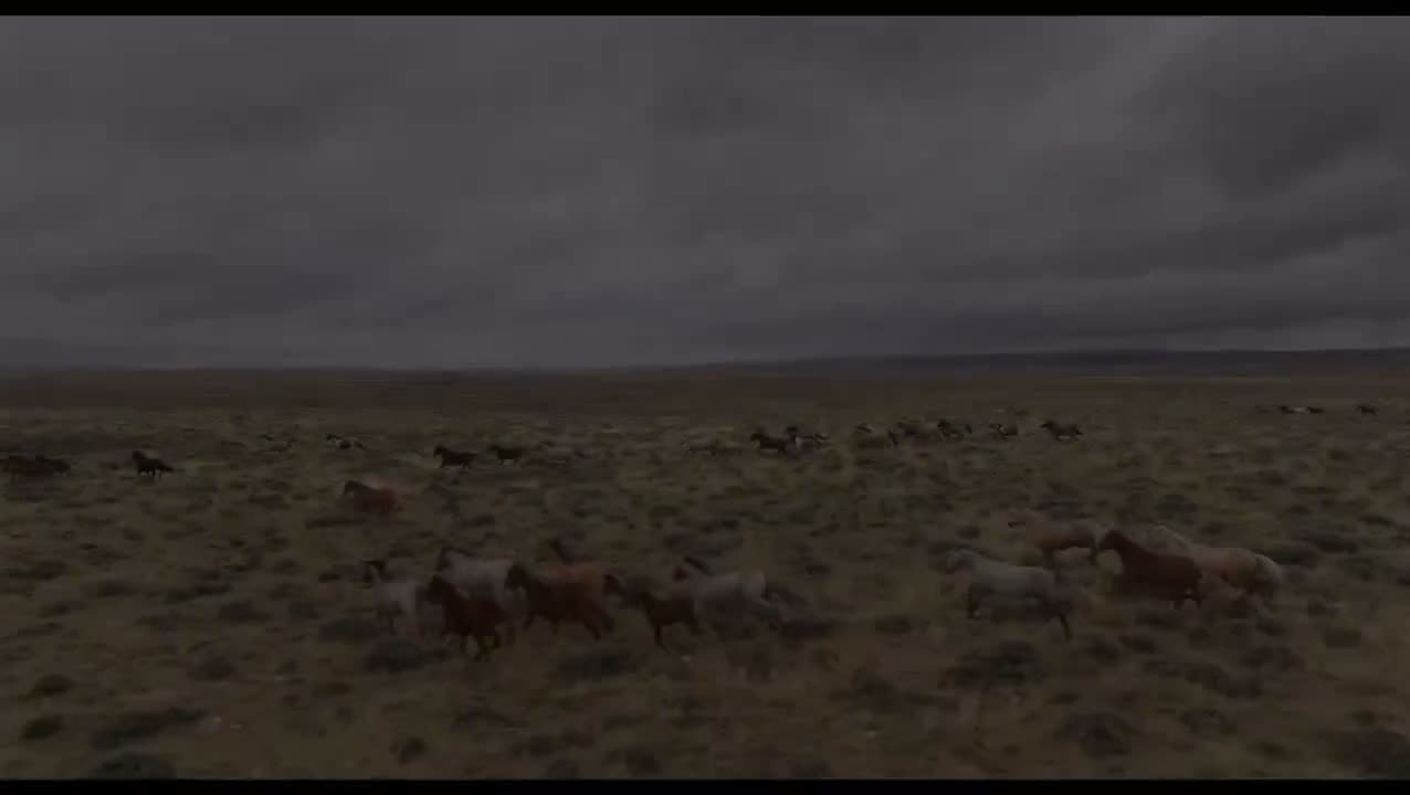 If you haven’t seen it by now on @bluezeusthemovie and @skydogsanctuary, then here it is!! The official traile