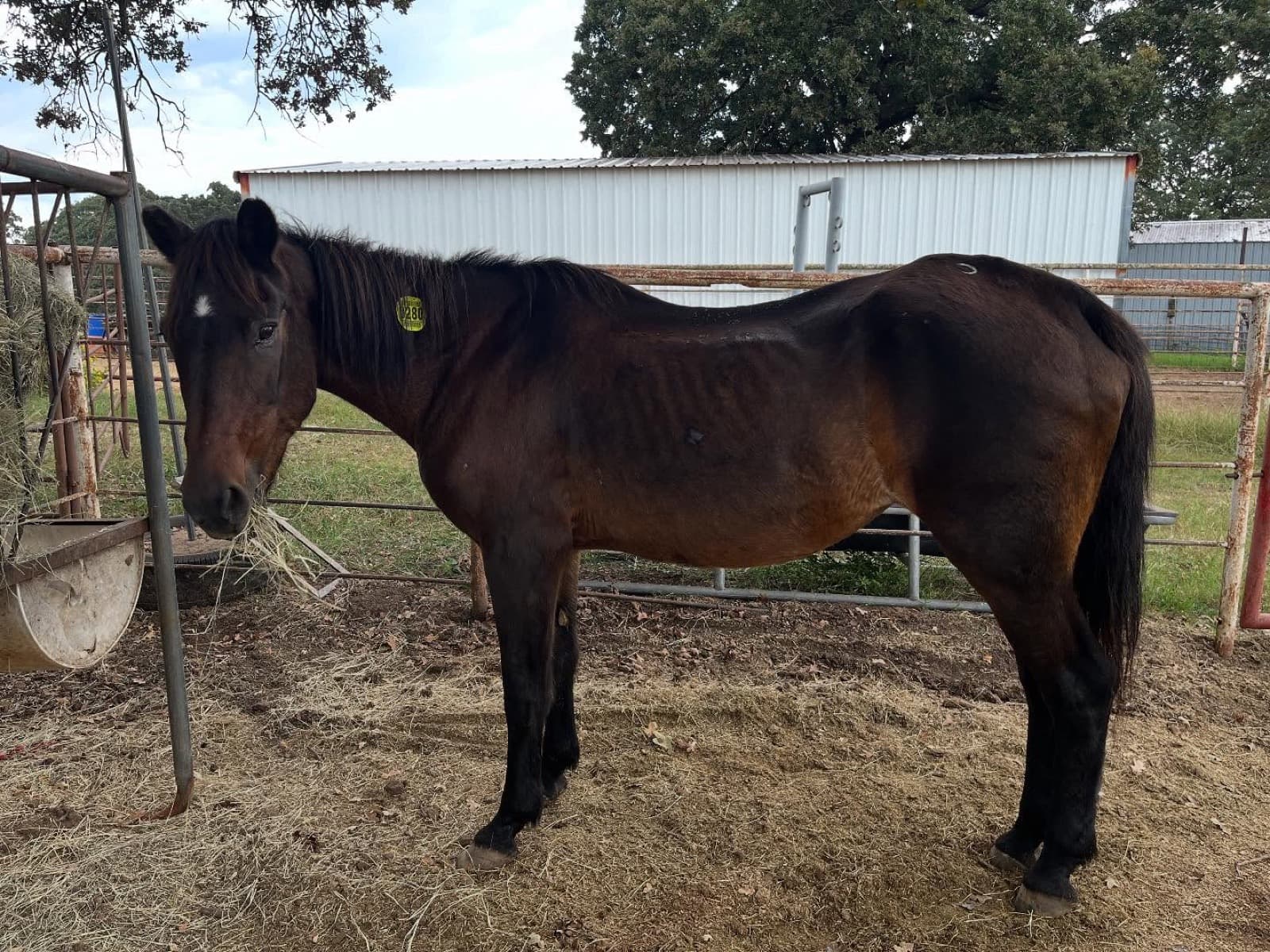 Our girl officially made it to quarantine! Her new life starts today.