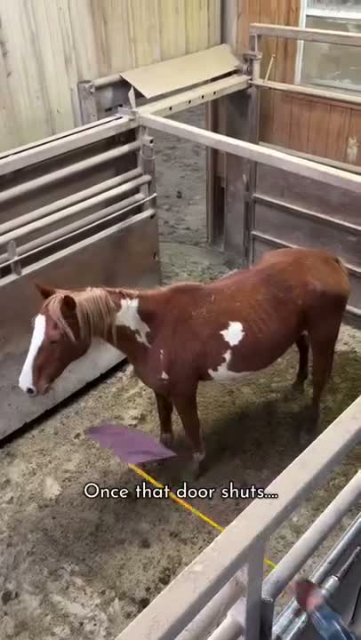 It is THE most important moment of their life. Why?