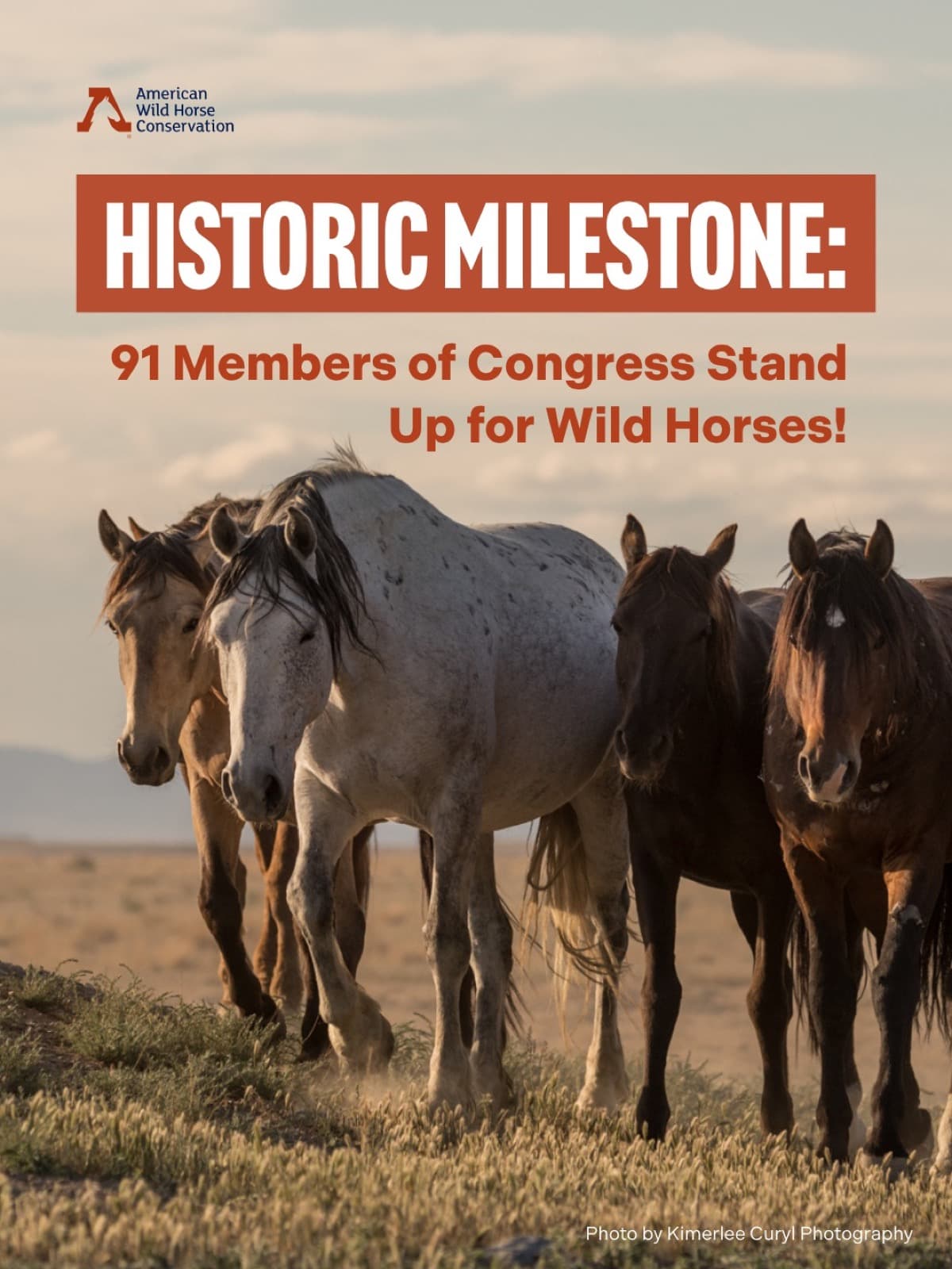 We have never seen support like this before. A record-breaking 91 members of the U.S. House of Representatives