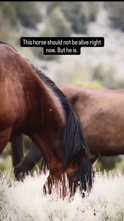 The first time I saw him, my breath caught.