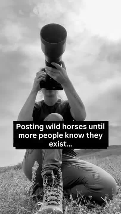 Nearly half of America’s wild horses are now in holding facilities. They did not leave the wild. We took it fr