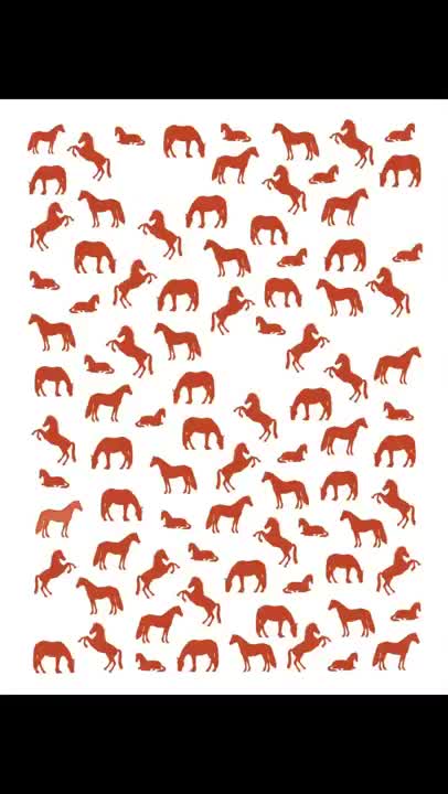 This year, nearly 24% of the wild horses and burros still roaming free on public lands are slated to be rounde