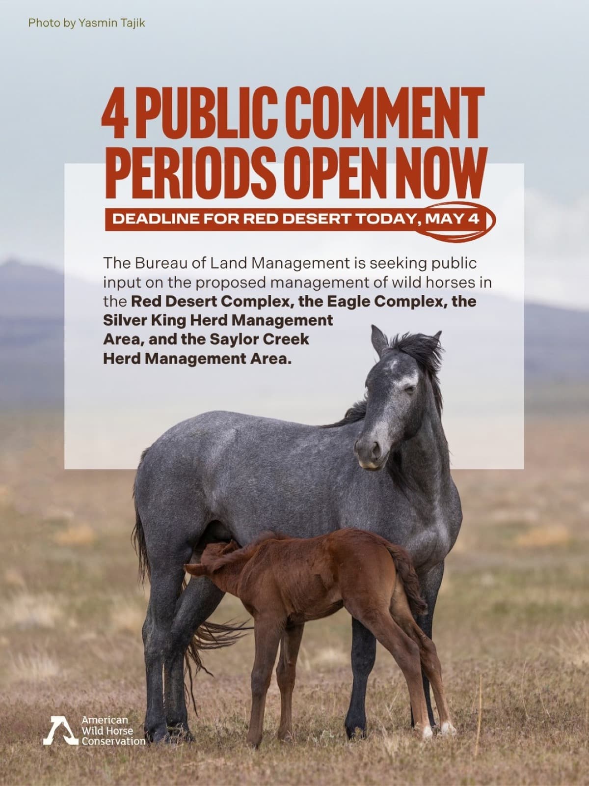 The Bureau of Land Management (BLM) is seeking public input as it develops new management plans for four wild