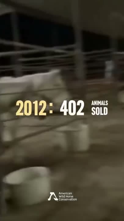 There is a growing crisis plaguing our wild horses and burros, and it's not just being ripped from the wild vi