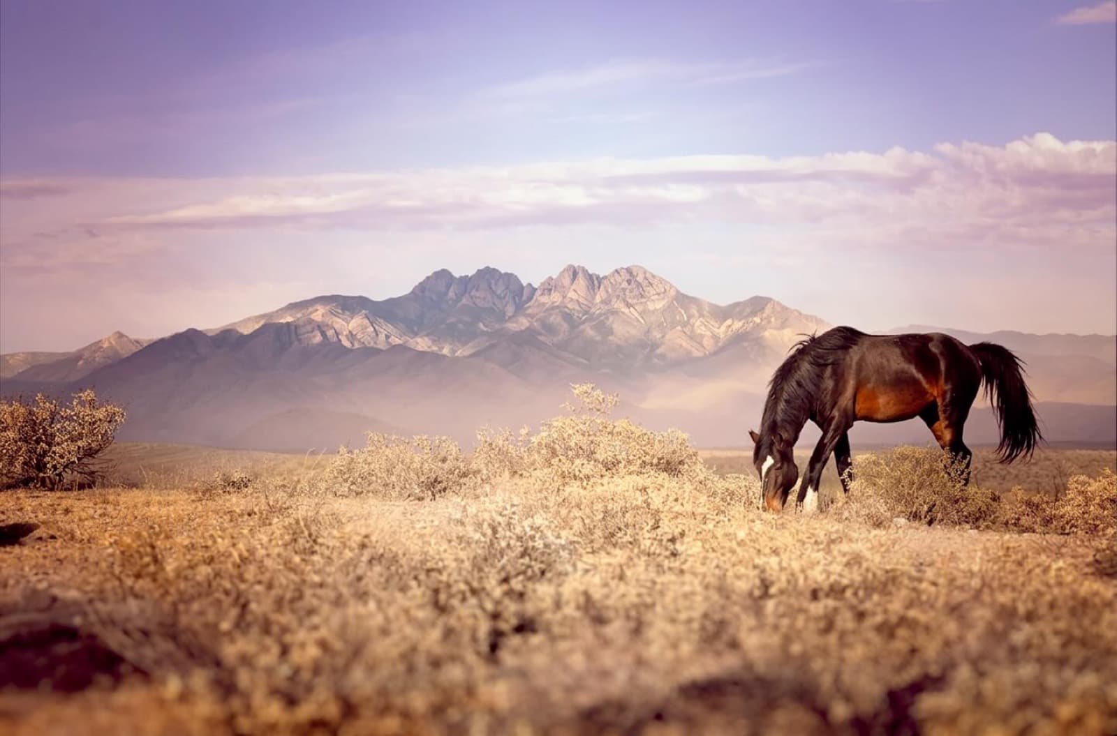 We wanted to go up into the hills. Most photograph the horses in the river, but we wanted them against the rid
