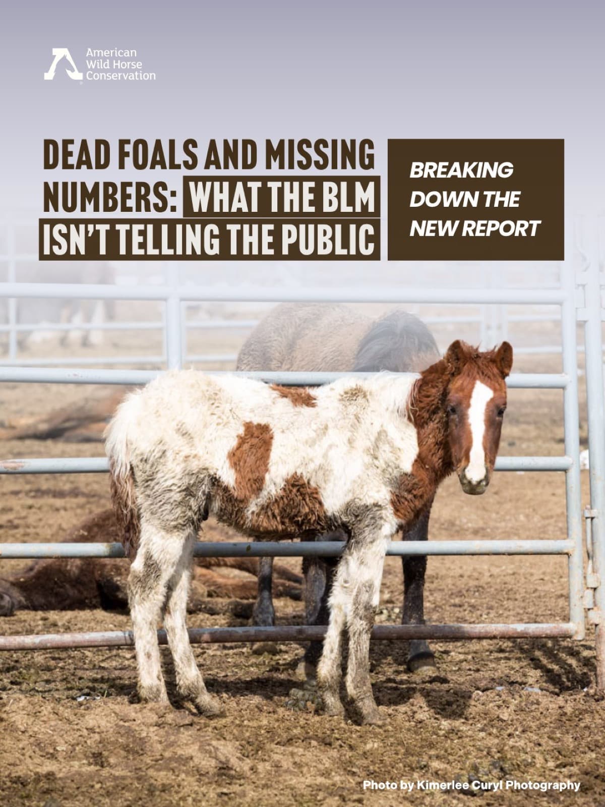 ️ Freedom of Information Act (FOIA) records reveal a world where stillborn wild foals "don't matter" and birth