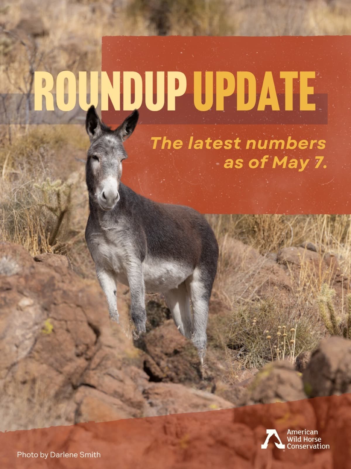 As of May 7, there are currently 6 active roundups underway across the West.