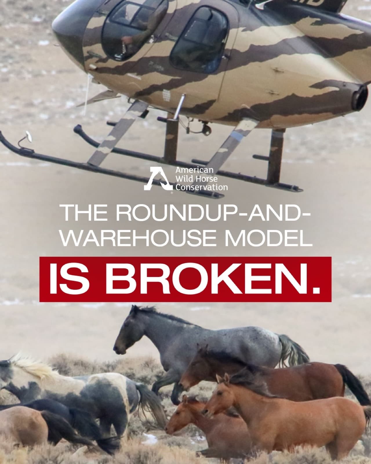 The system was created to protect wild horses.