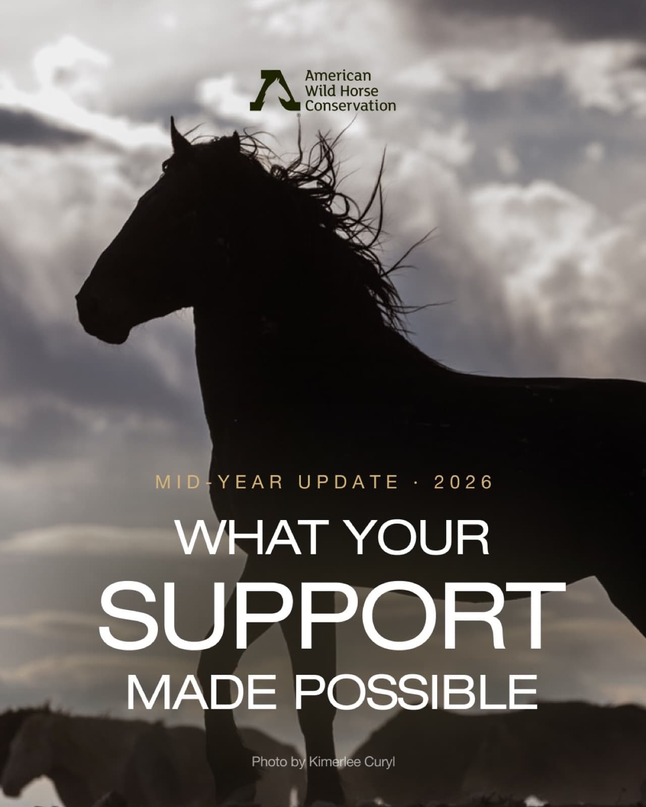 This is what your support makes possible.