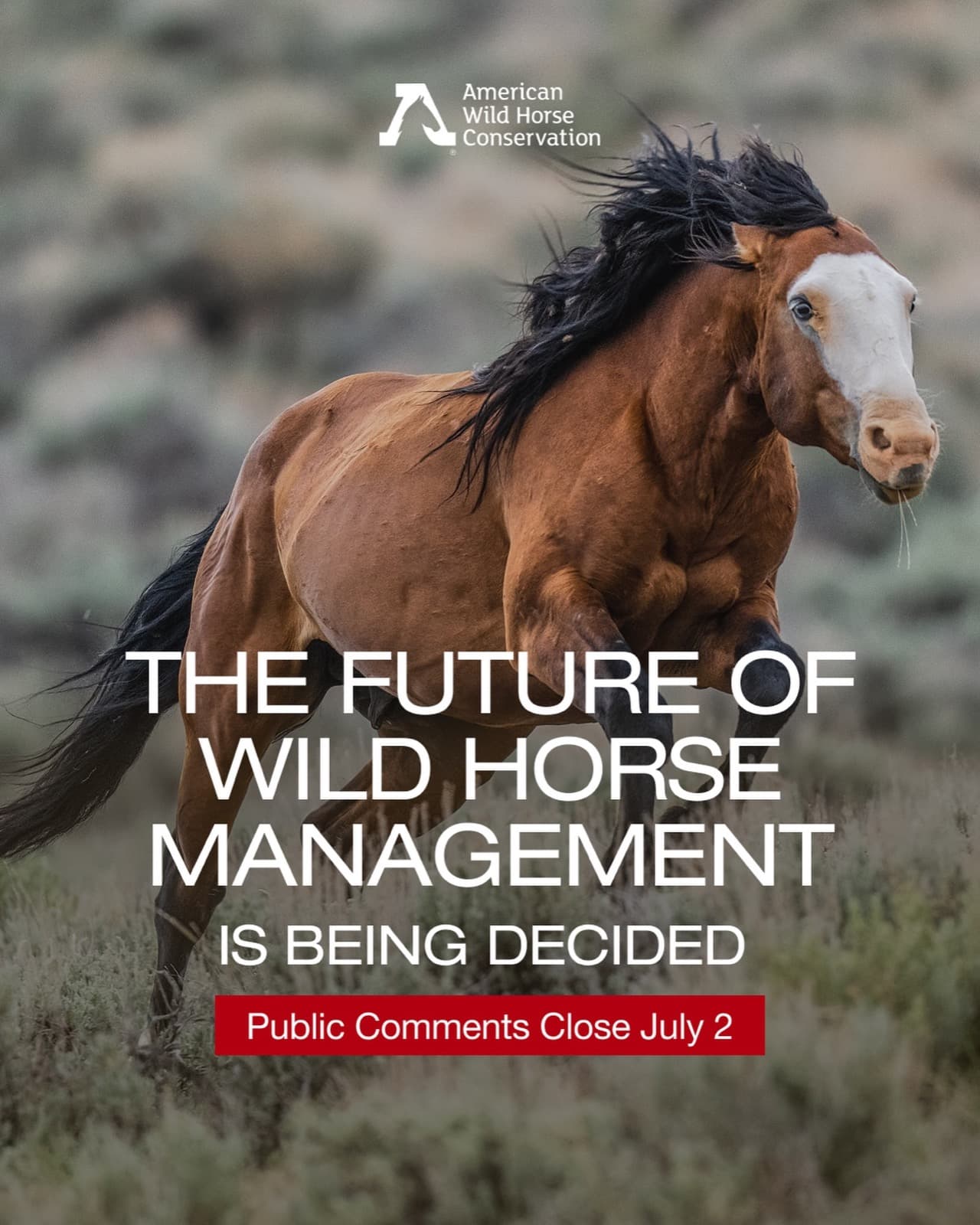 The Bureau of Land Management is currently reviewing nationwide strategies that could shape the future of Amer