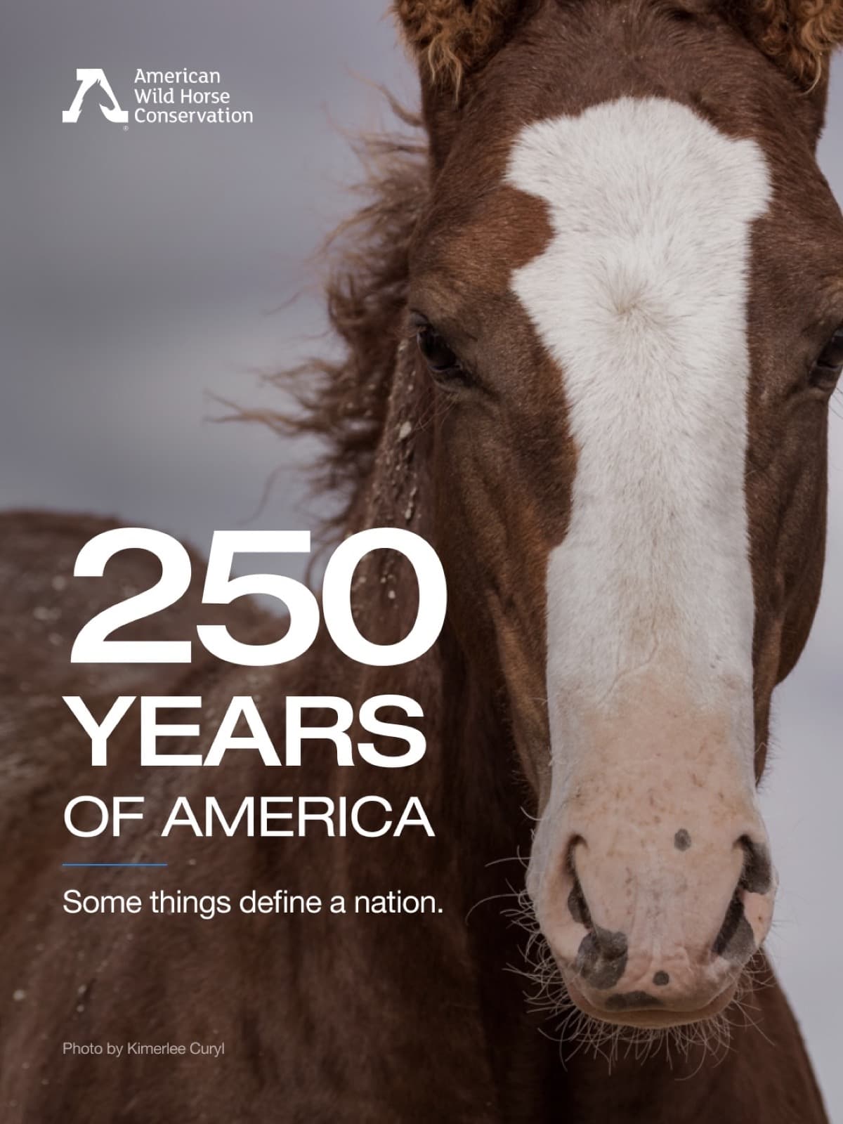 🇺🇸 This Independence Day, as America begins celebrating its 250th anniversary, we’re reflecting on the lands