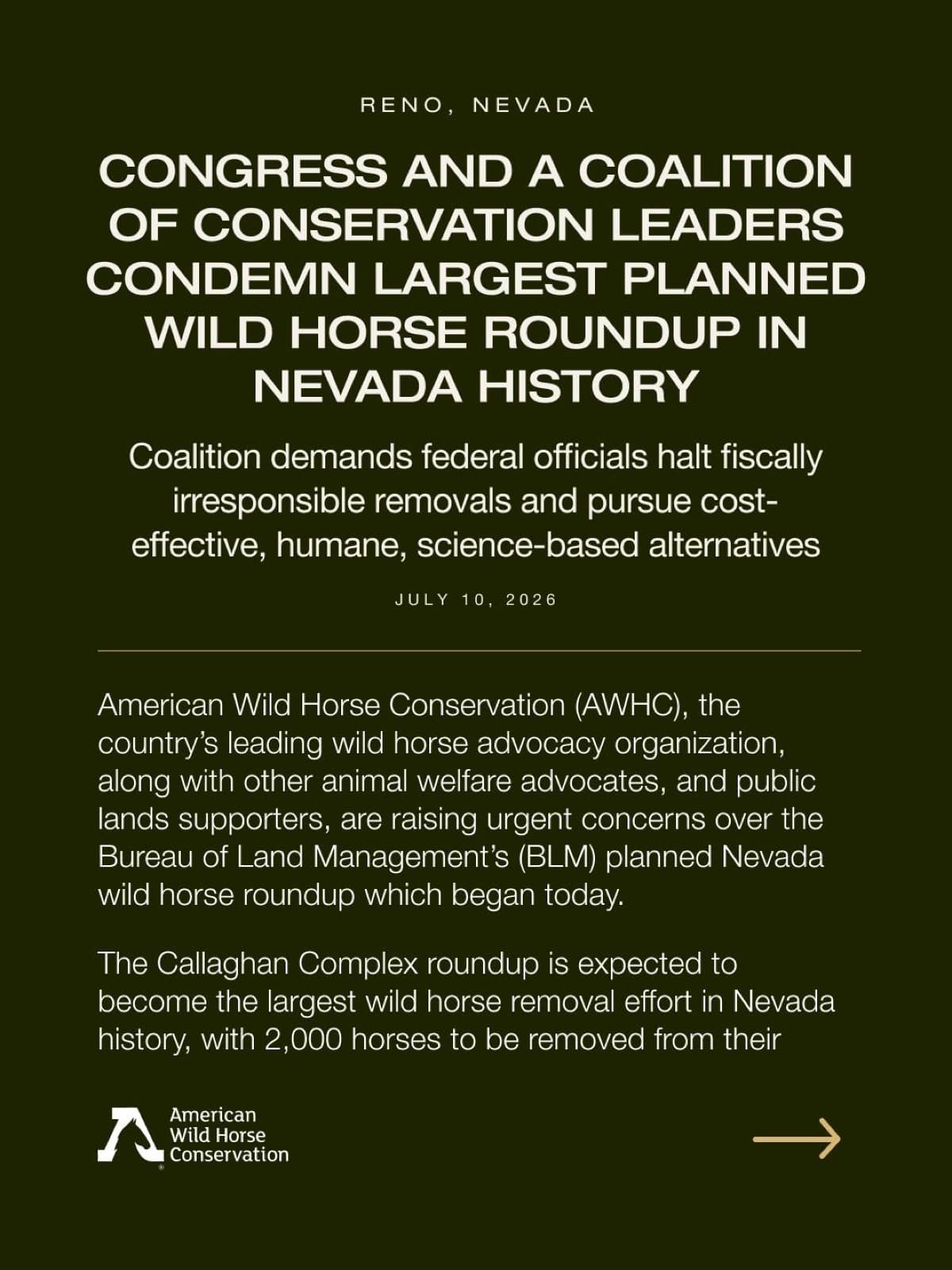 Congress and conservation leaders are sounding the alarm over the largest planned wild horse roundup in Nevada