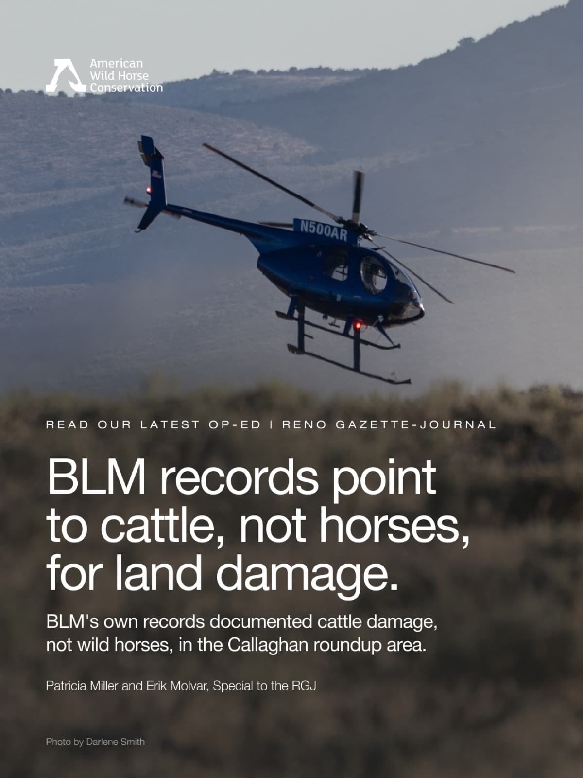 The BLM says wild horses are responsible for rangeland damage. But the agency's own records tell a different s