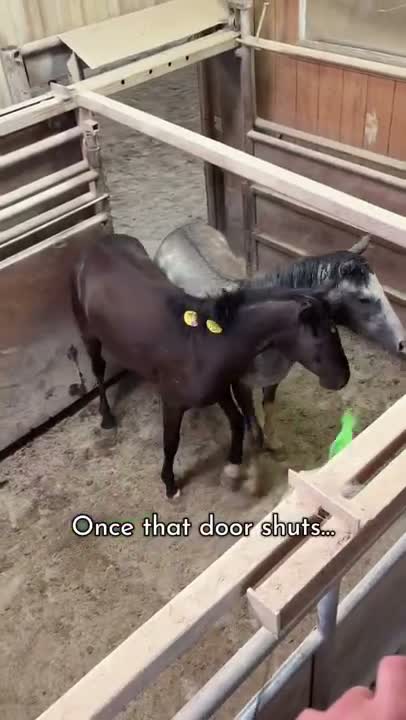 It is THE most important moment of their life. Why?