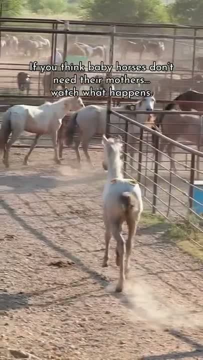 Do you hear them calling out to eachother?!