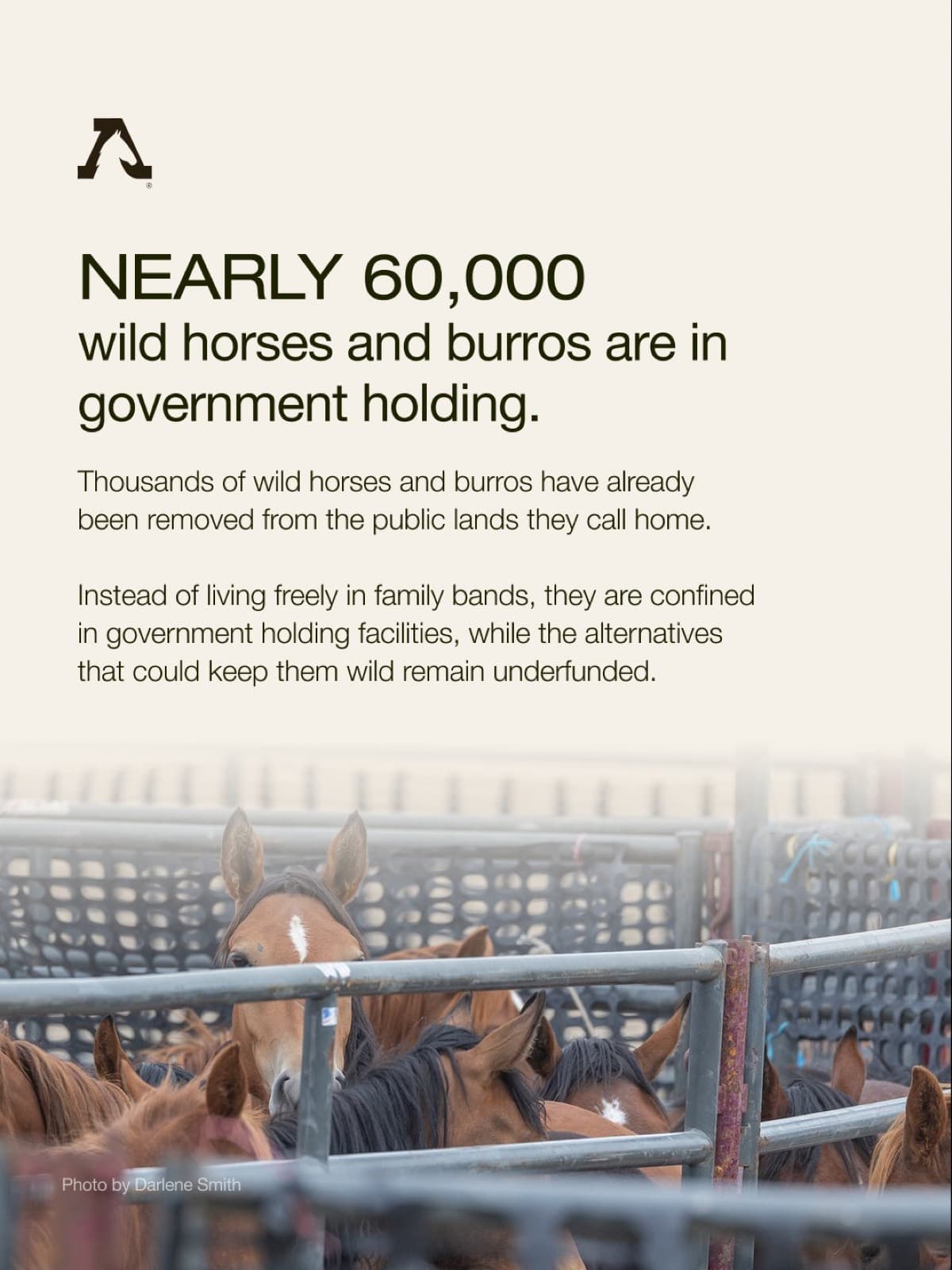 Animals who were born to roam across open landscapes are instead confined behind fences, separated from the fr