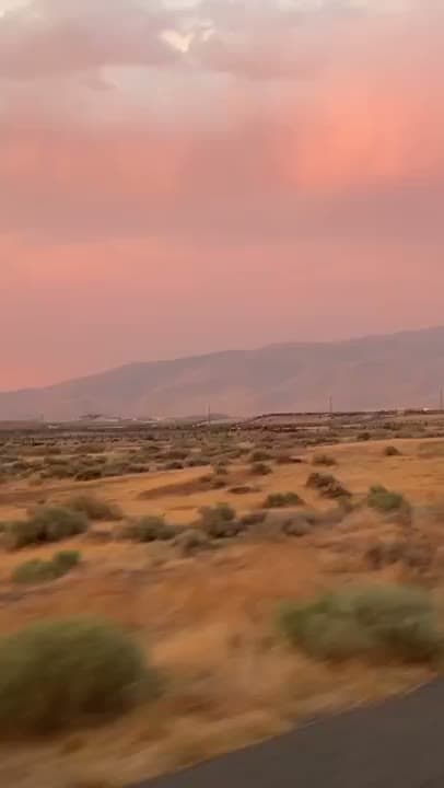 Hundreds of wild horses are currently confined at the Palomino Valley Wild Horse and Burro Center in Nevada, i