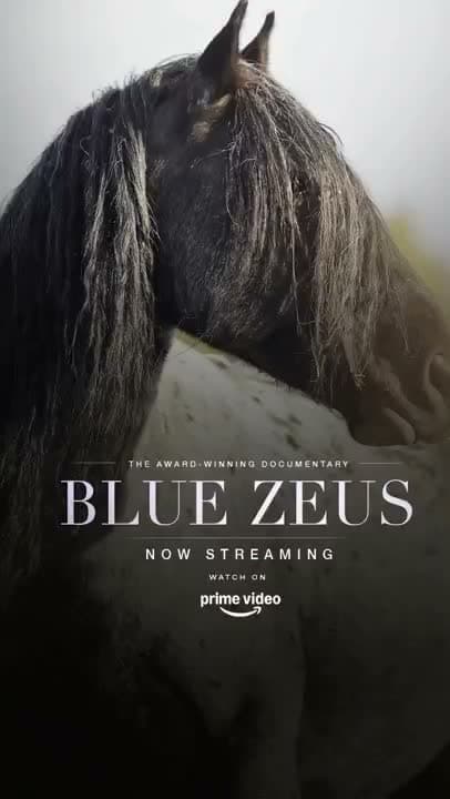 I’m still blown away by how many people who aren’t even horse people have been sending me and sharing the New