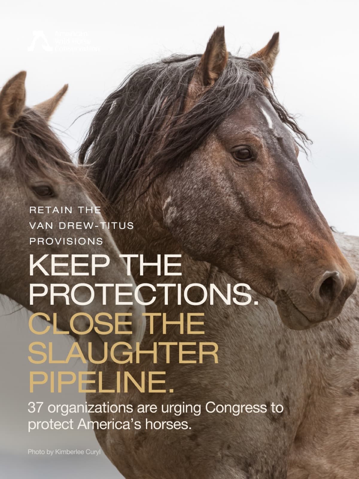 KEEP THE PROTECTIONS. CLOSE THE SLAUGHTER PIPELINE.