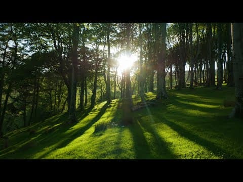 From Lil' Fellas to Big Bugganes: Five Aspects of Manx Folklore