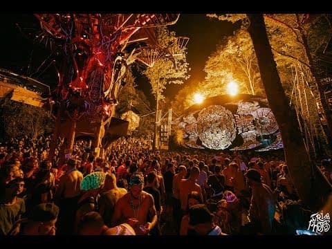 Audiofools of Parvati Records filmed at the festival