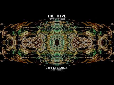 Superluminal at The Hive stage