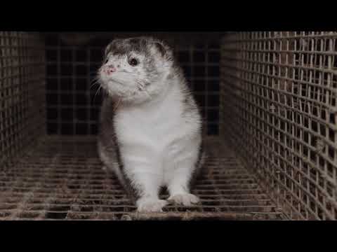 Moby - 'Rescue Me' (Official Video)