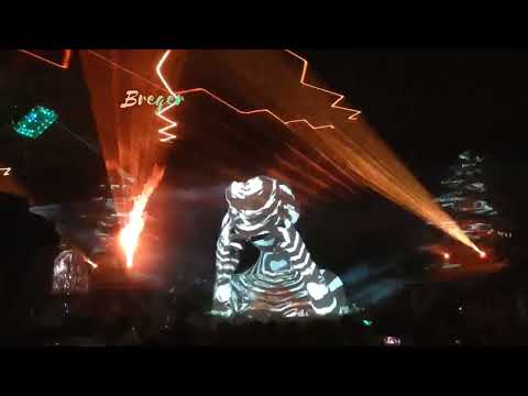 Swamp stage highlights reel