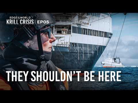 Face to Face With Antarctica’s Destructive Krill Fleet | Edge of the World: Krill Crisis | EP5