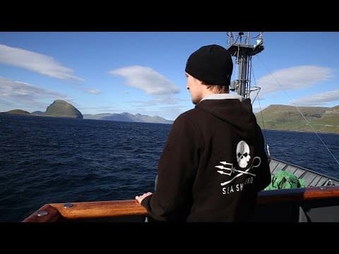 A Call To Denmark: StandUp for the Pilot Whales